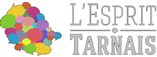 Esprit tarnais